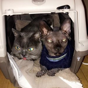 Meet your Posher, Nicole